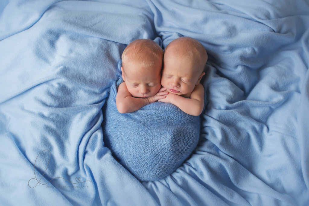 Issaquah Baby Photographer | Twin newborn boys - Dawn Potter Photography