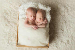 issaquah baby photographer | newborn twin boys