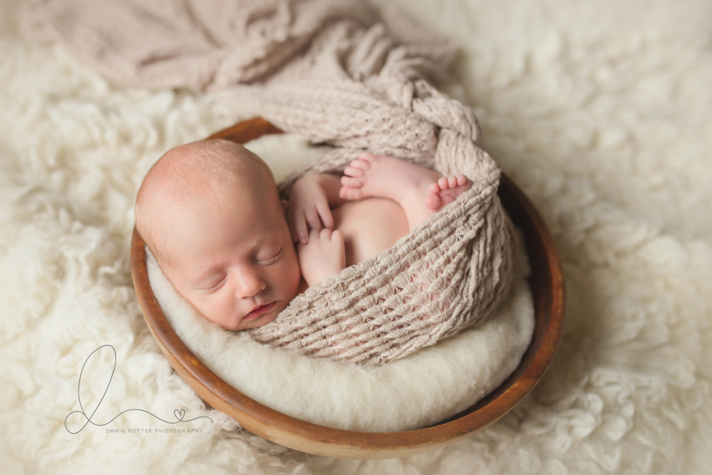 issaquah baby photographer | newborn twin boys