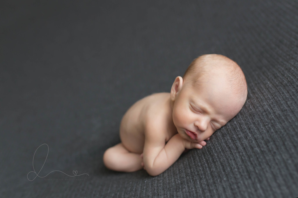 issaquah baby photographer | newborn twin boys