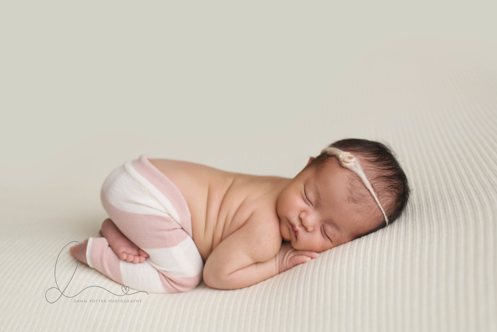 tushy pose | three week old | bellevue newborn photographer