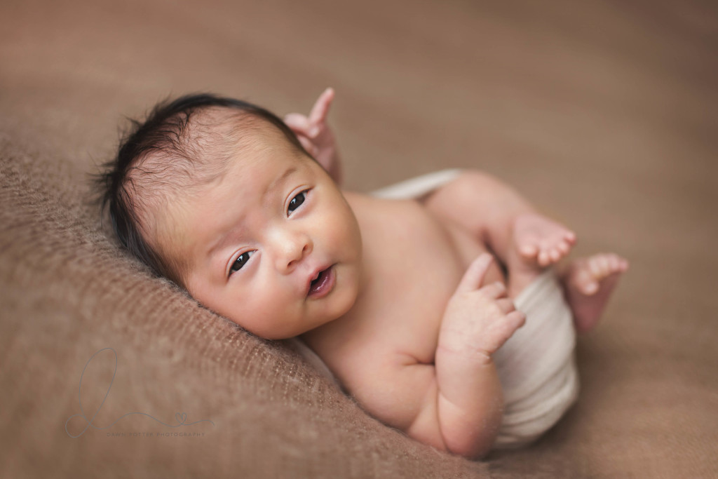 eyes open baby | three week old | bellevue newborn photographer