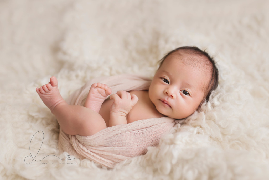 eyes open baby | three week old | bellevue newborn photographer