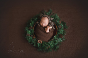 baby in bowl | baby in nest | three week old | bellevue newborn photographer