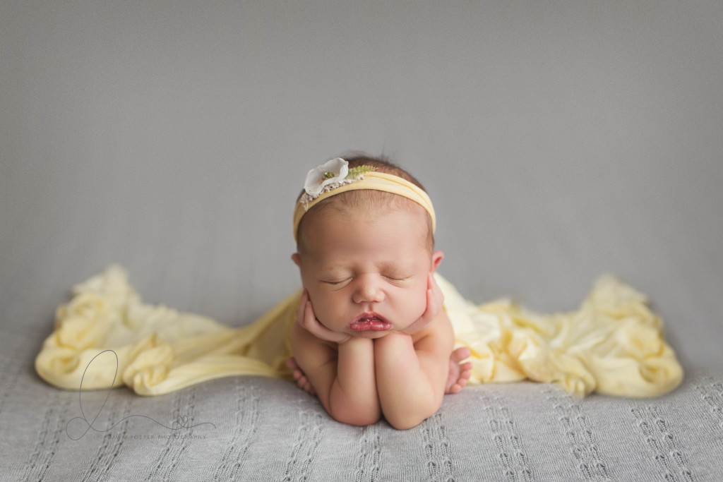 froggy pose | baby girl on grey | Seattle newborn photography