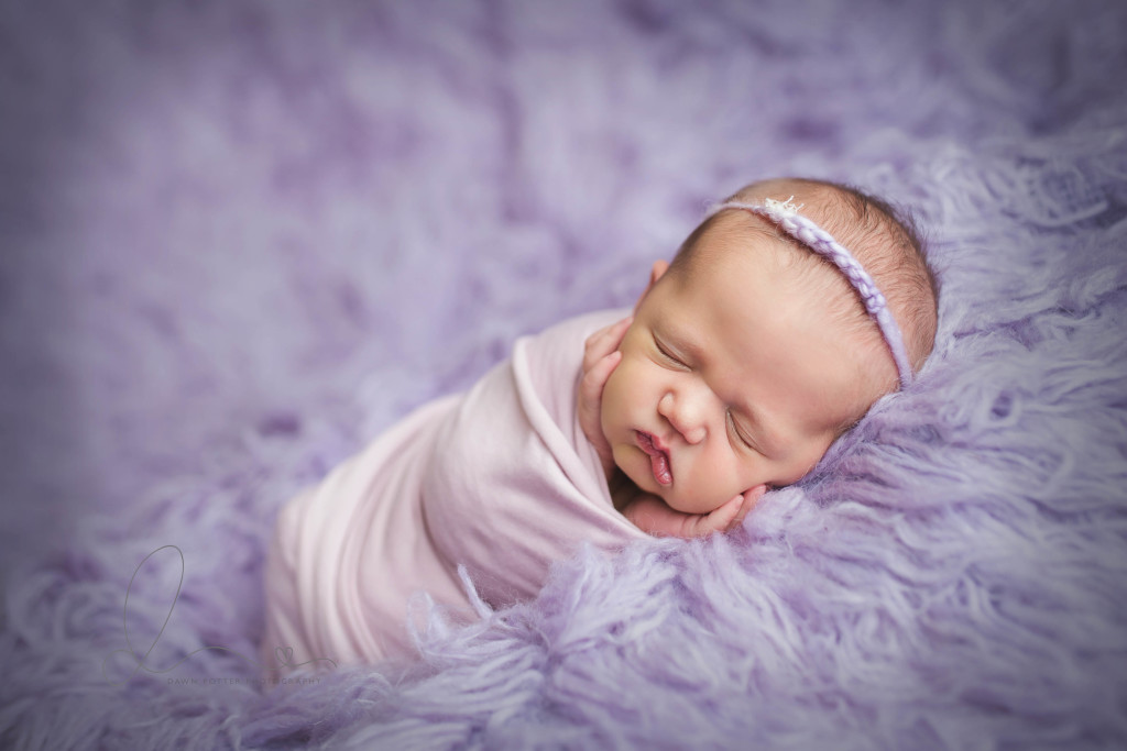 wrapped baby on purple flokati | Seattle newborn photography