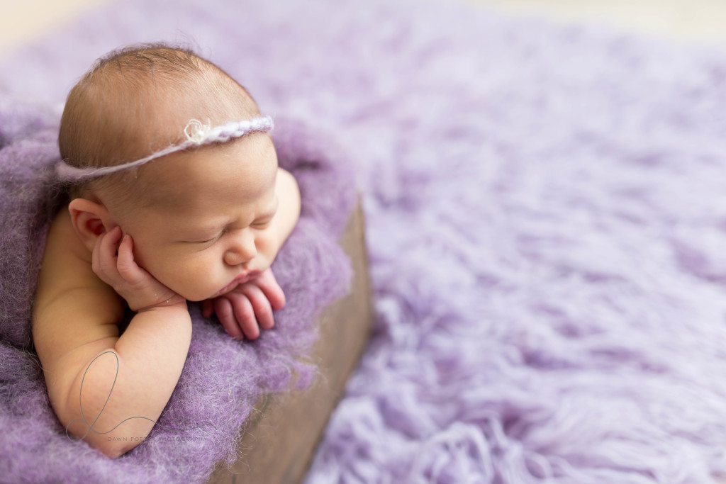 baby in purple in crate | Seattle newborn photography