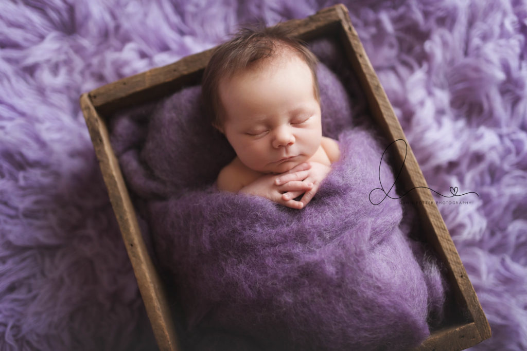 3 week old newborn session | issaquah baby photographer | baby in prop