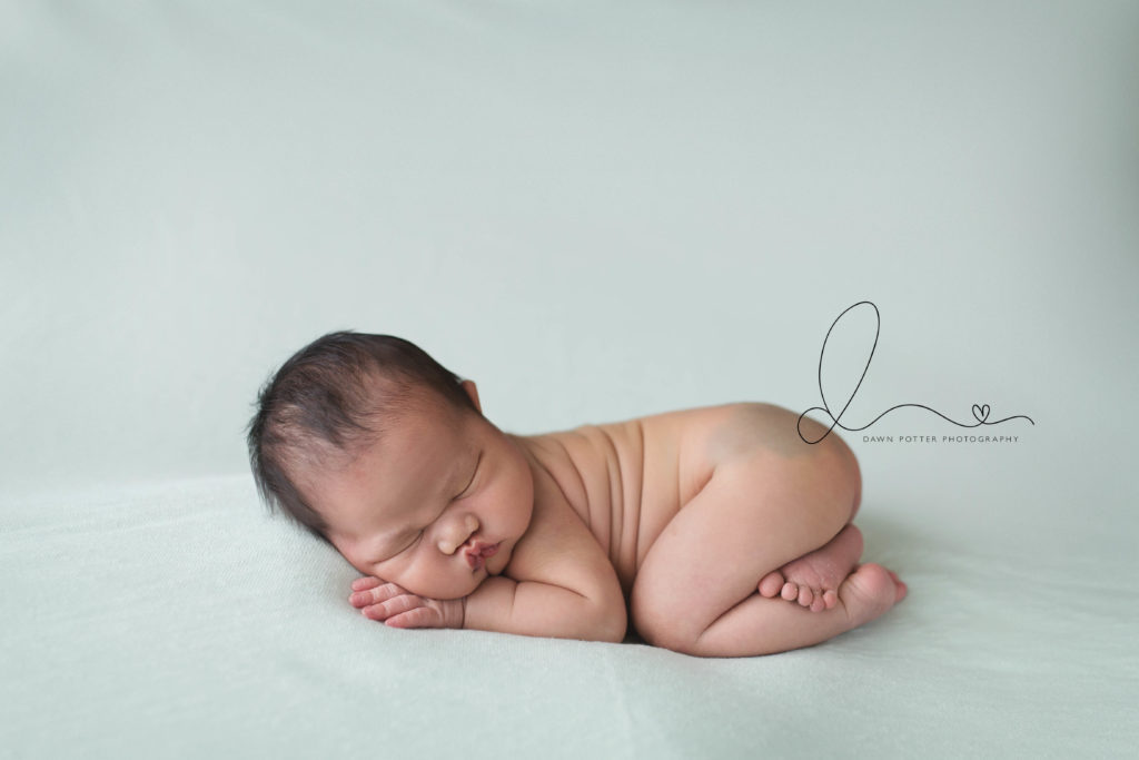 Bellevue newborn session | baby girl tushy pose | Eastside newborn session
