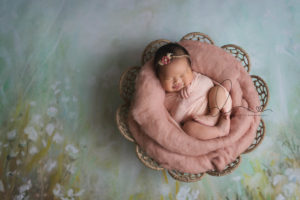 Bellevue newborn session | baby girl in basket