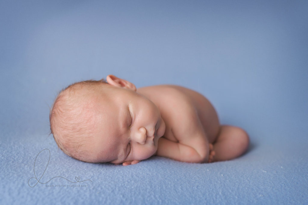 Issaquah newborn session | issaquah baby boy taco pose