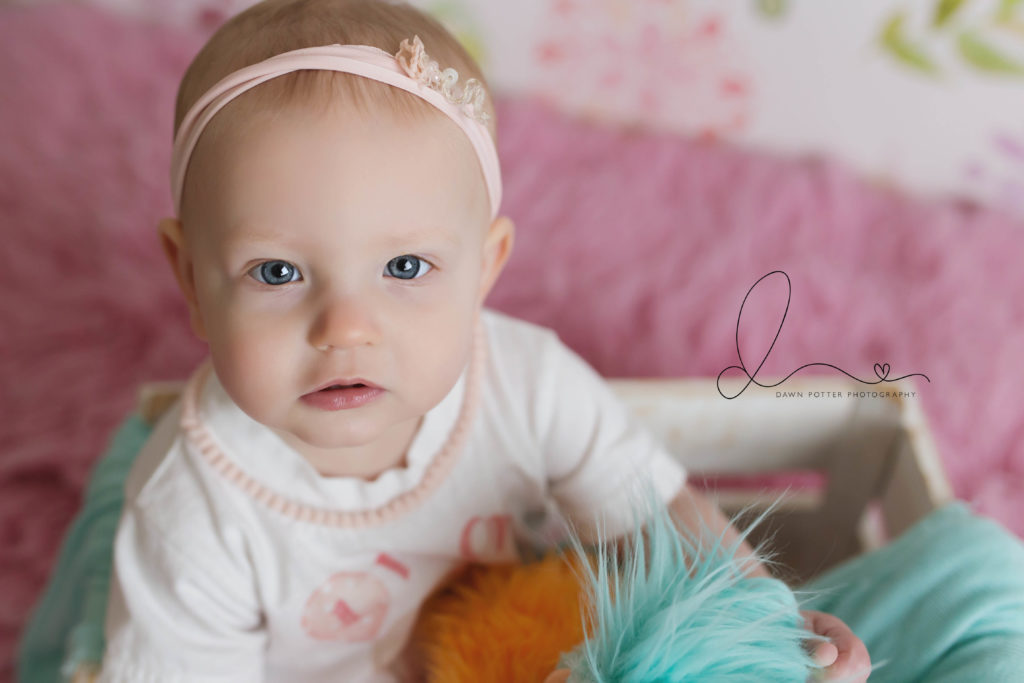 one year cake smash session | seattle baby photographer