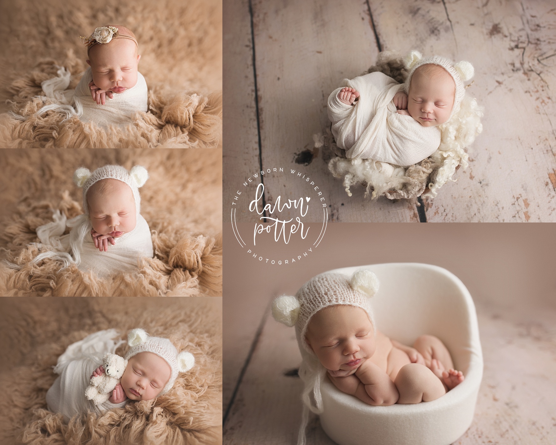 Newborn photographer in Issaquah | The Newborn Whisperer Dawn Potter Photography | Seattle newborn photographer