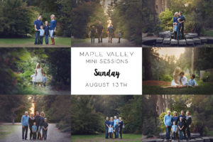 maple valley mini sessions - family mini sessions maple valley