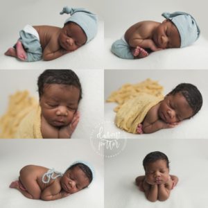 newborn photography in seattle washington