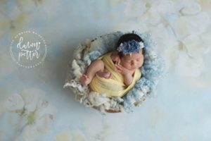 newborn photography in seattle washington