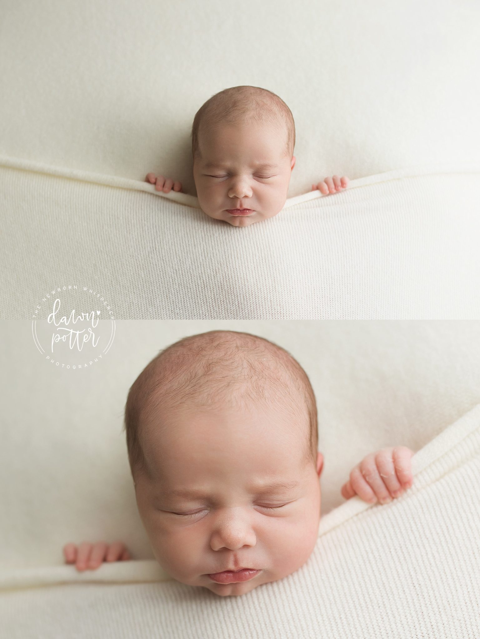 Bellevue newborn photography session | studio newborn session | seattle newborn photographer | the newborn whisperer | issaquah newborn photographer