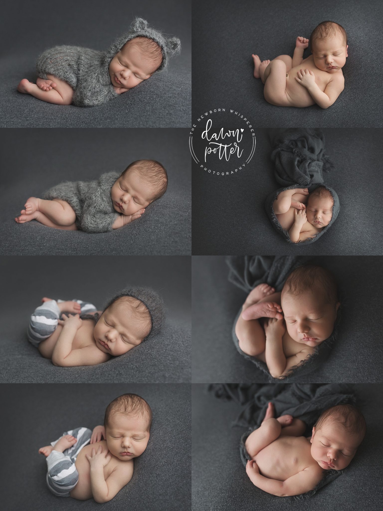 Snoqualmie newborn photographer 