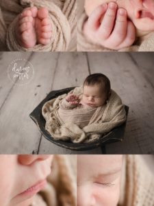 North Bend Newborn Photographer