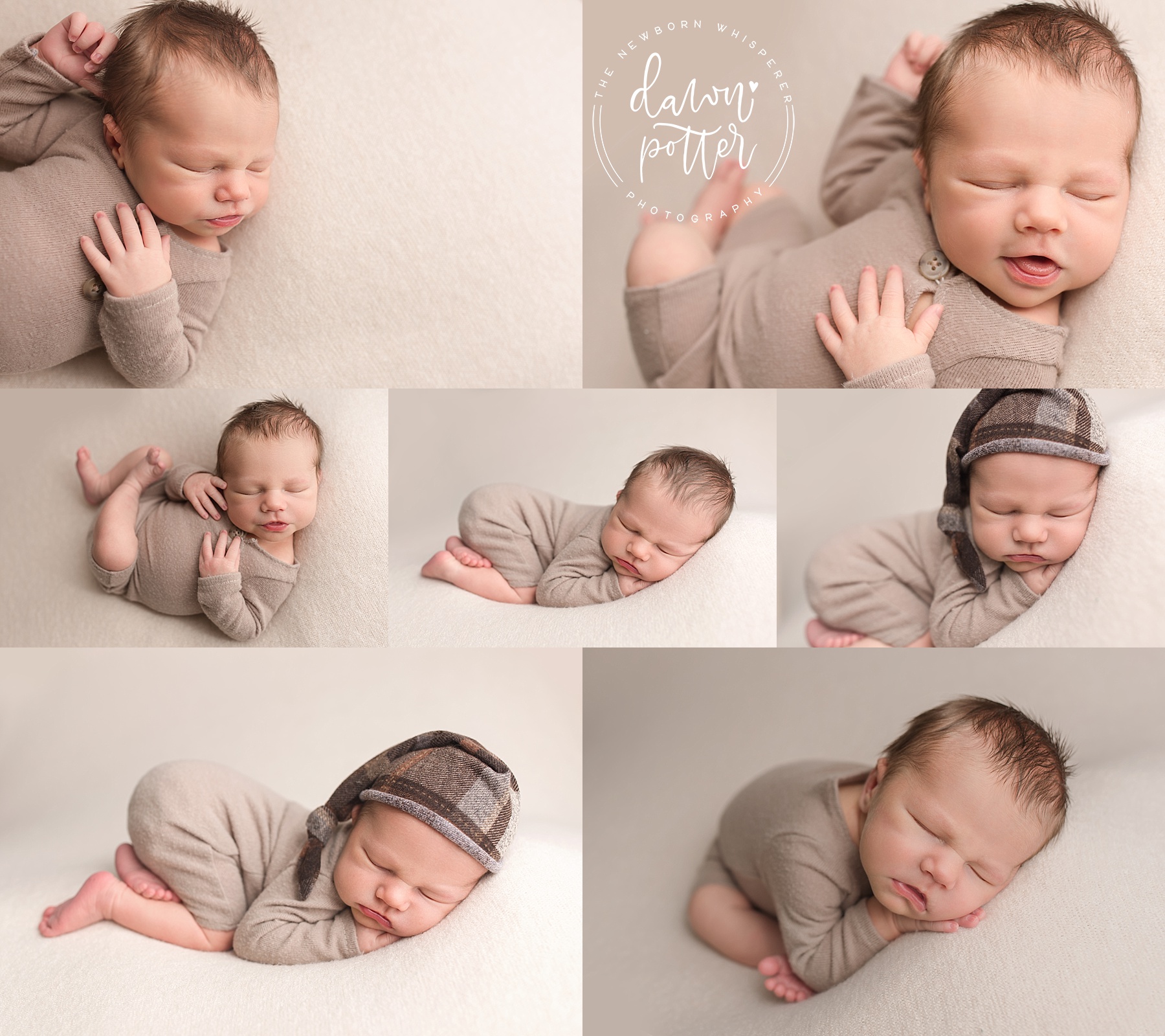 Seattle Newborn Portraits