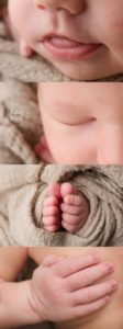 newborn photography seattle wa