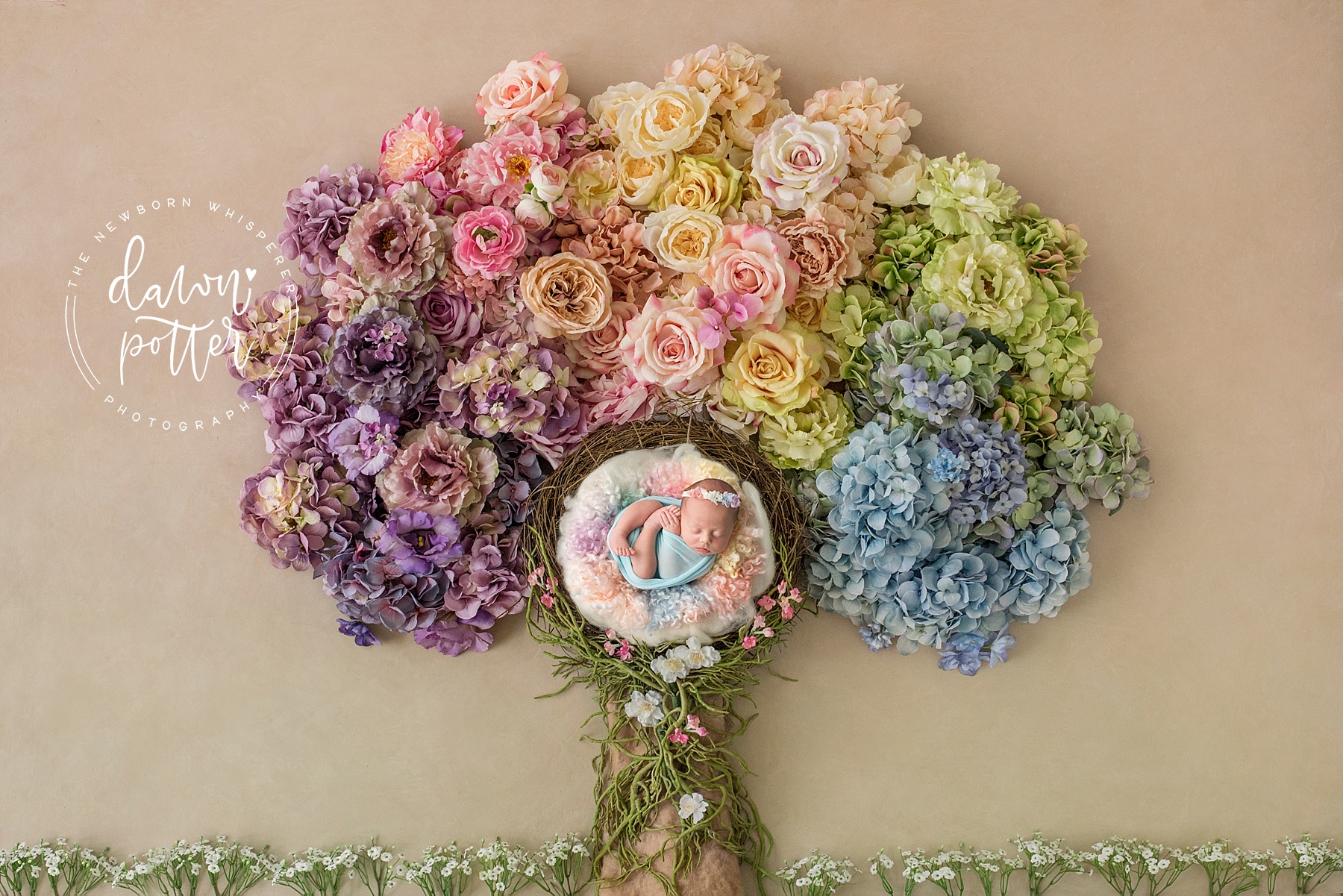 newborn photographer in seattle wa