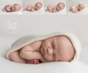 newborn photography issaquah