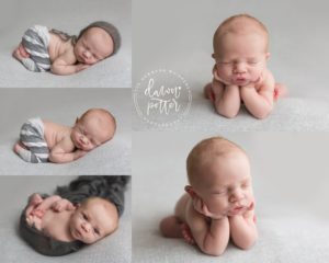 newborn photography issaquah