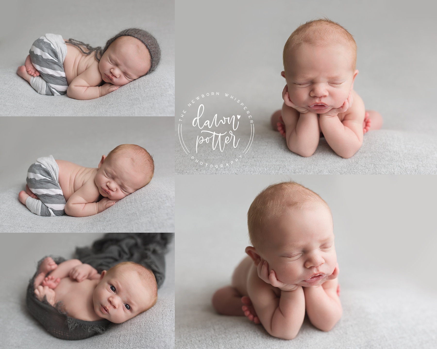 Newborn Photographer in Issaquah