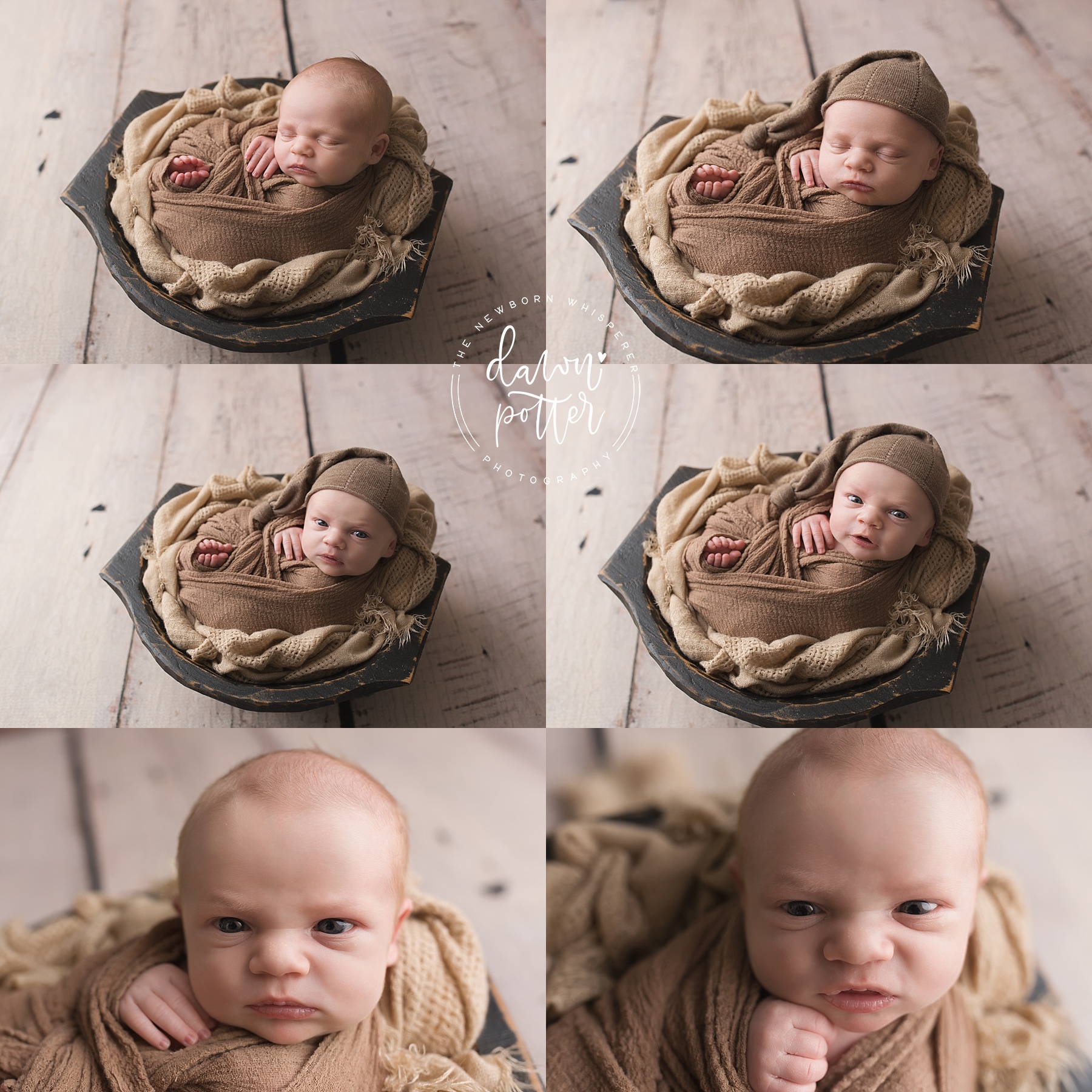 Newborn Photographer in Issaquah