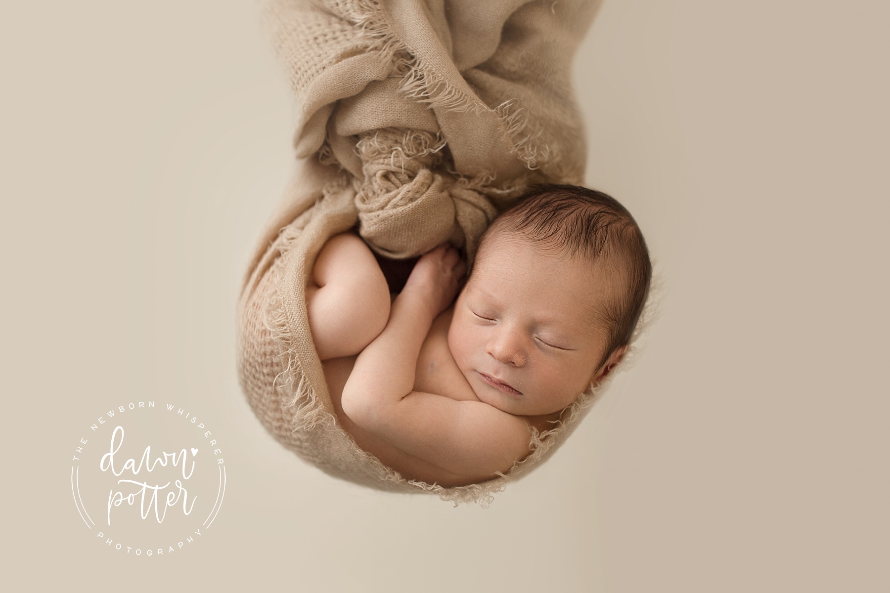 Bellevue newborn photographer