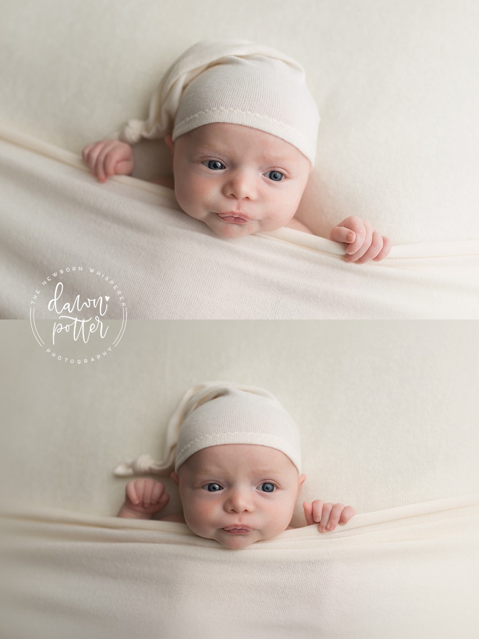 Seattle newborn photography 1