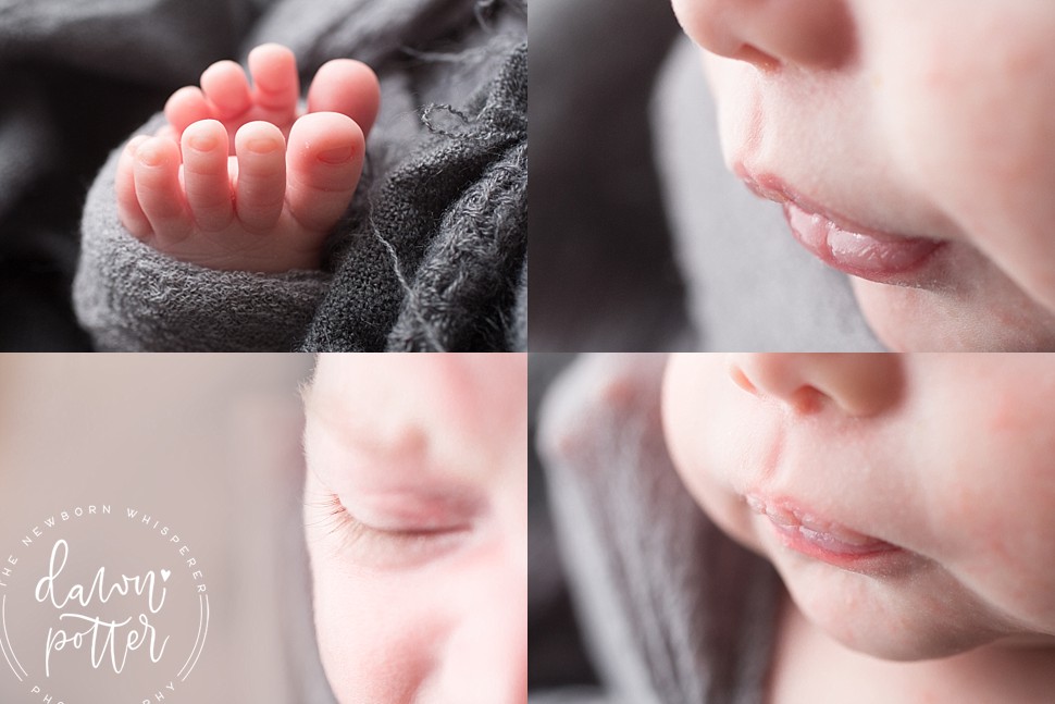 Seattle Newborn Photography Session