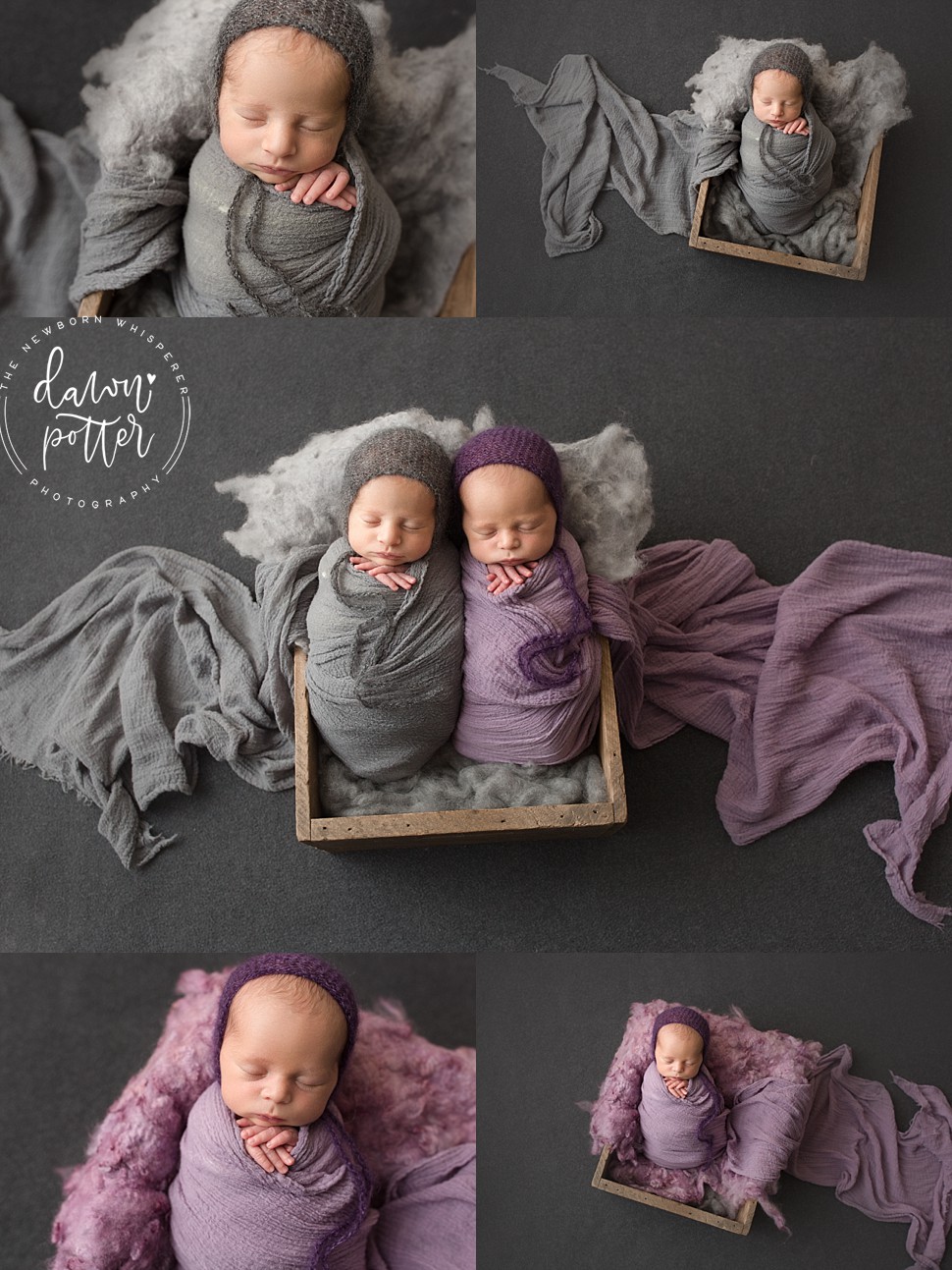 newborn photography Bellevue_0013.jpg