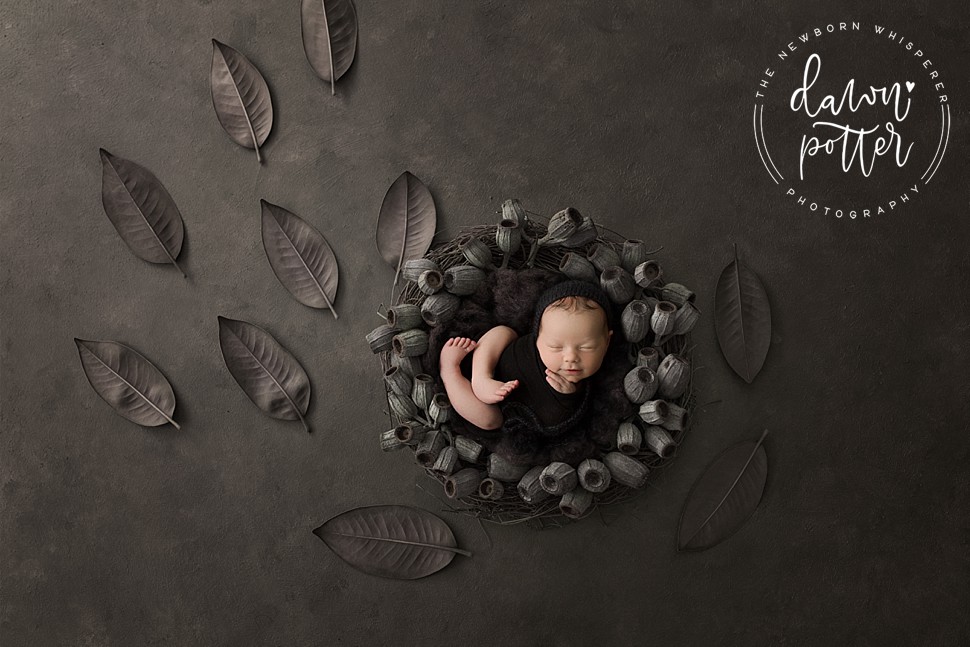 Best Newborn Photographer in Seattle_0015.jpg