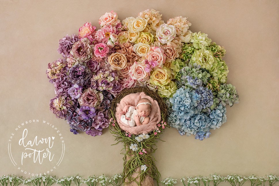 Renton newborn photographer_0005.jpg