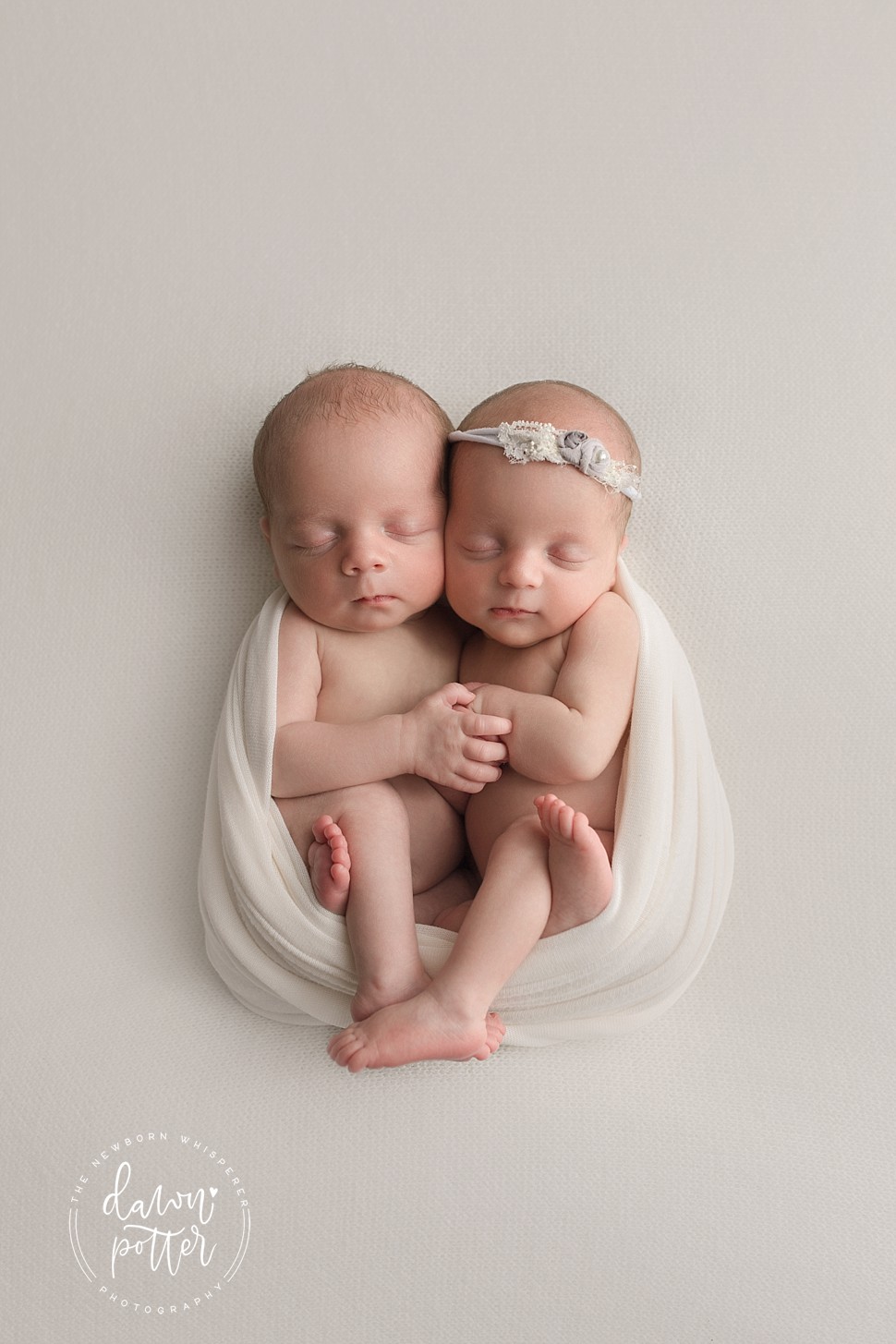 seattle newborn twins photography
