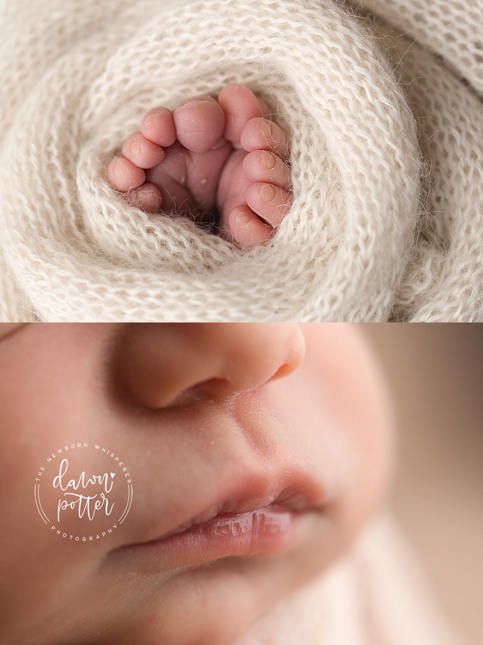 Tacoma Newborn Photographer_0137.jpg