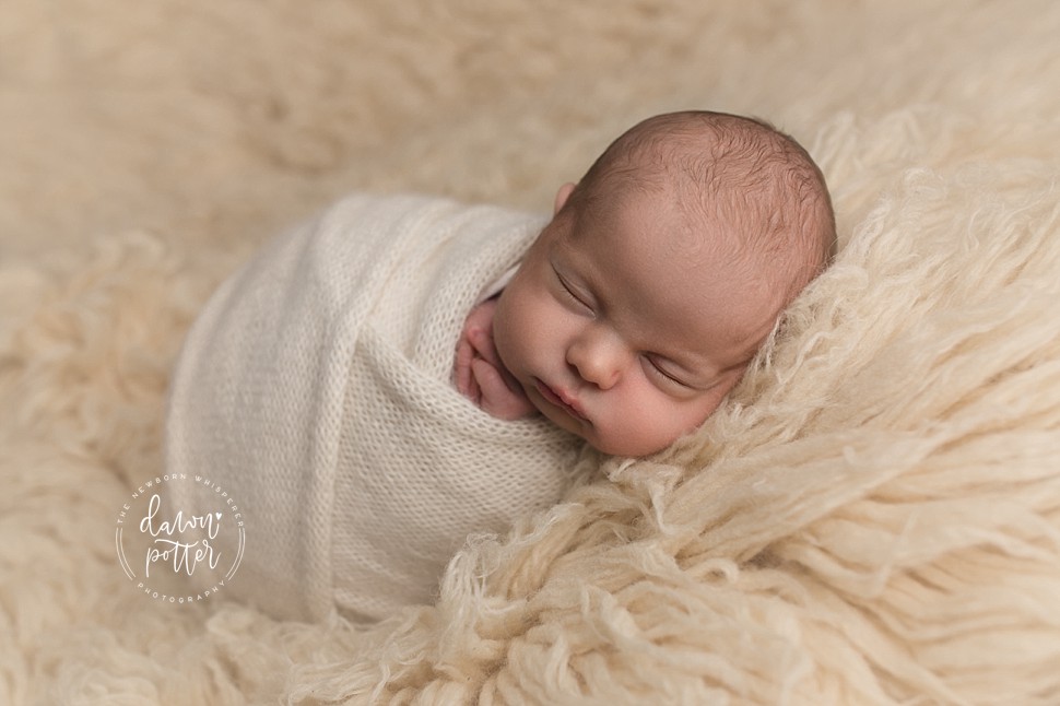 Seattle newborn photographer_0223.jpg