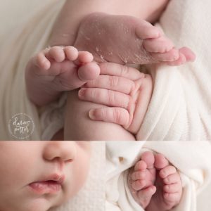 Best Seattle Newborn Photographer
