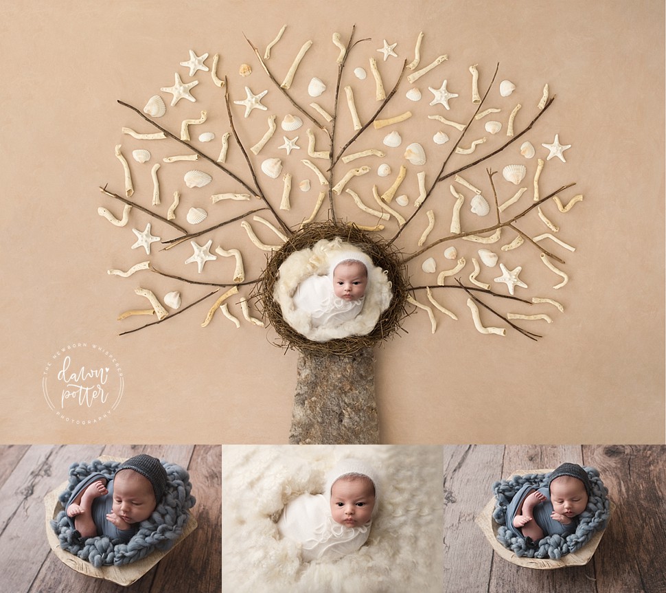 Seattle newborn photographer_0249.jpg Seattle Newborn Photography