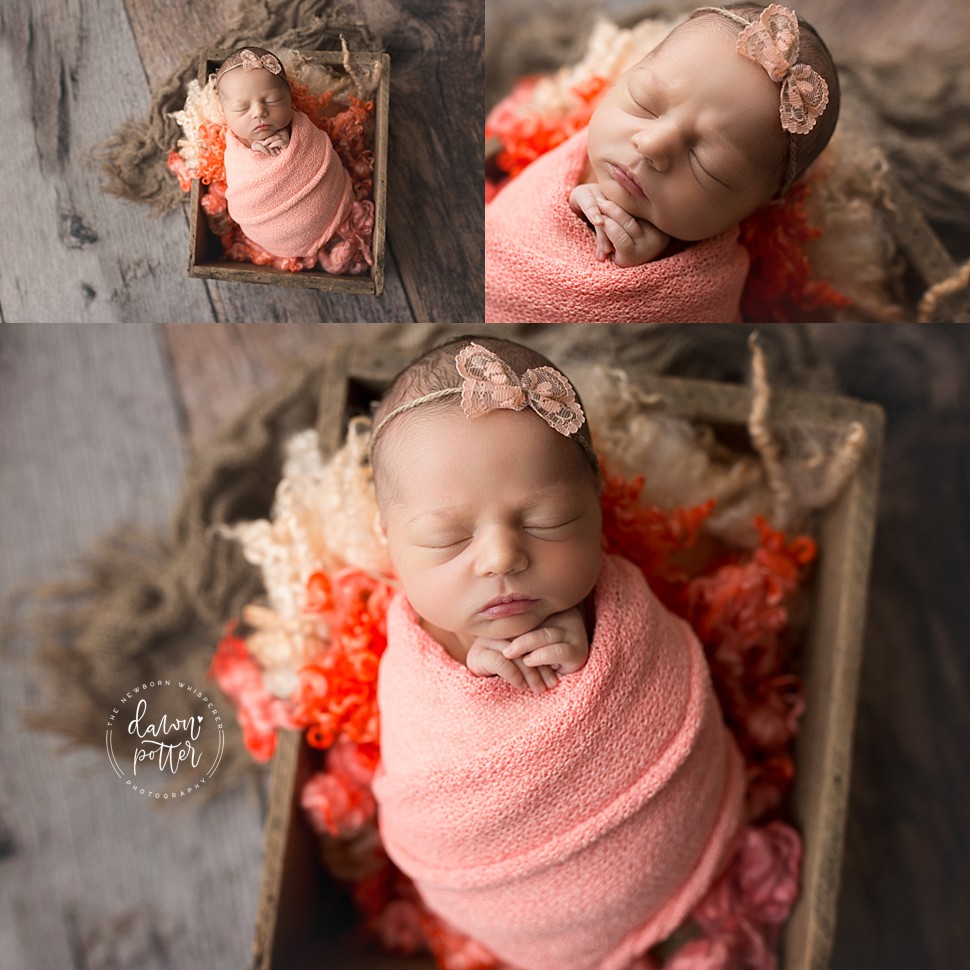 Tacoma Newborn Photographer_0373.jpg Tacoma Newborn Photographer_0373.jpg