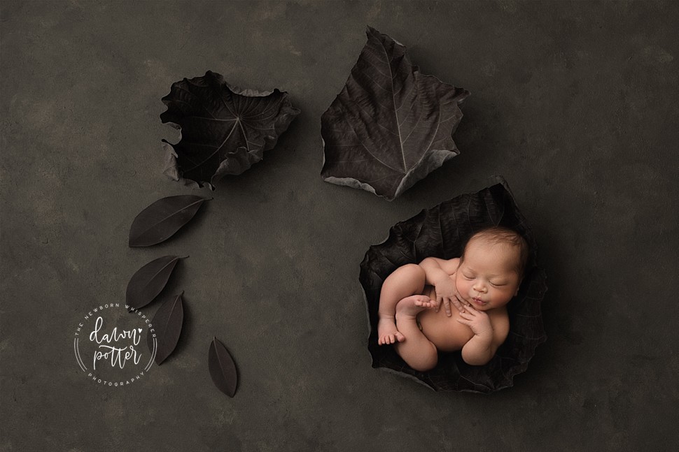 Bellevue newborn photographer_0462.jpg Bellevue newborn photographer_0462.jpg