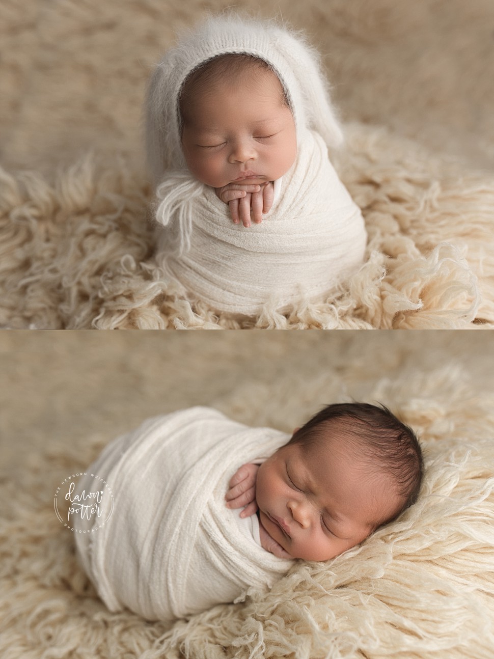 Bellevue newborn photographer_0463.jpg Bellevue newborn photographer_0463.jpg