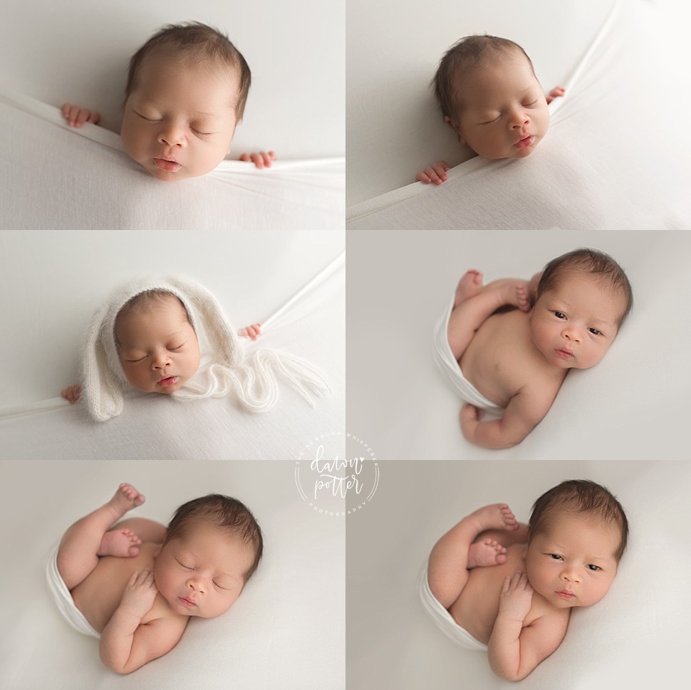 Bellevue newborn photographer_0467.jpg Bellevue newborn photographer_0467.jpg