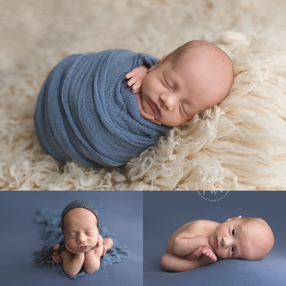 Bellevue newborn photographer_0473.jpg Bellevue newborn photographer_0473.jpg