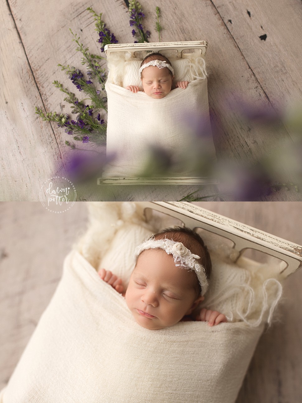 Seattle newborn photographer_0483.jpg