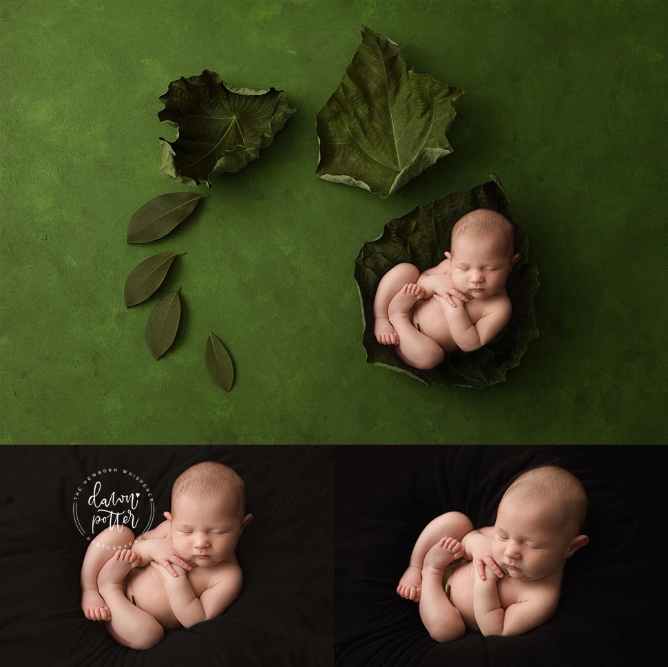 Tacoma newborn photographer_0503.jpg