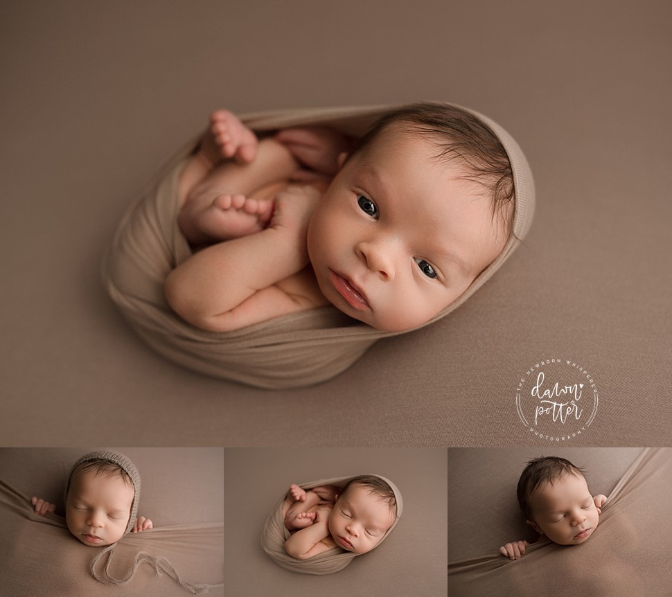 great of mom and dad | Newborn photography girl, Newborn baby photography, Newborn  pictures