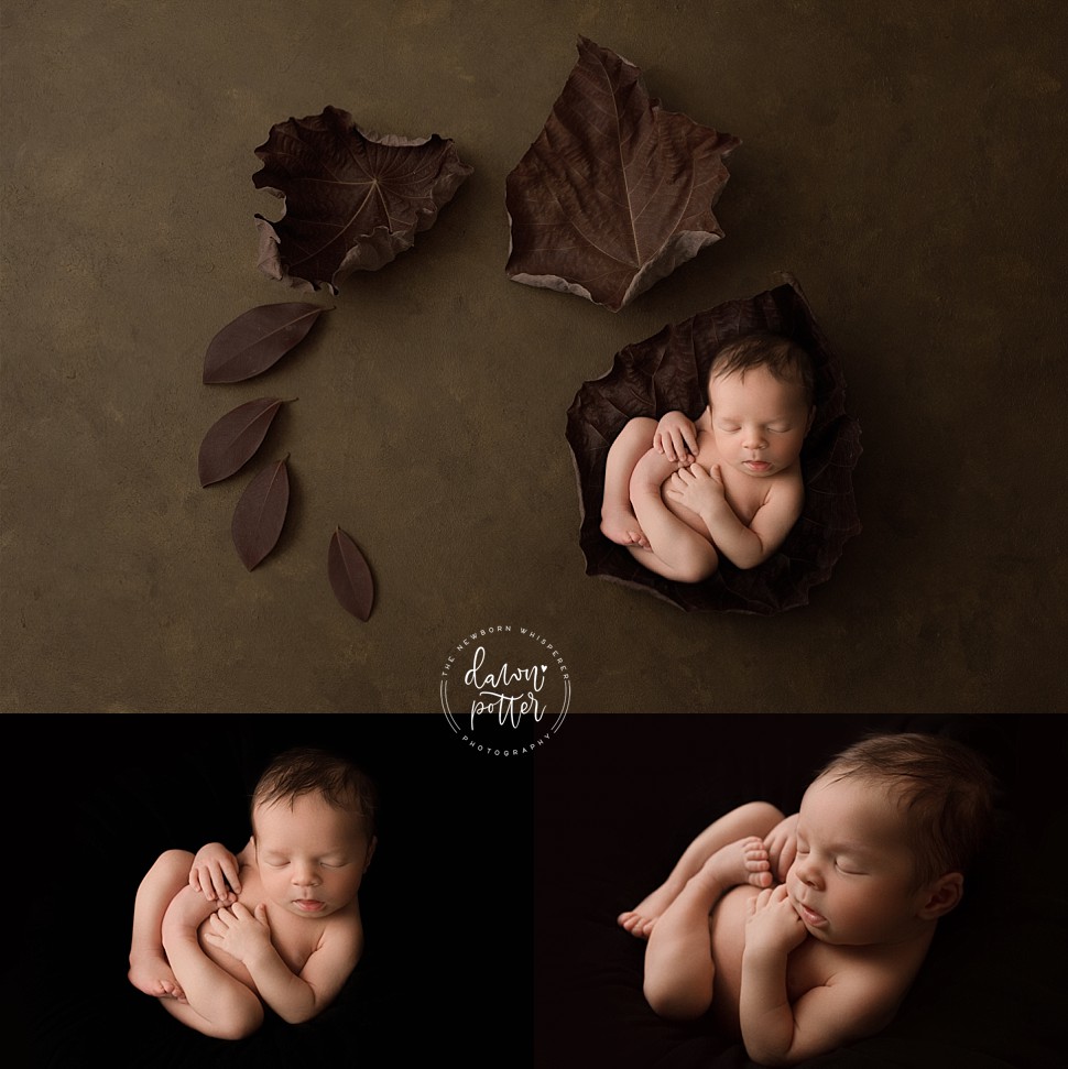 kirkland newborn photographer_0493.jpg